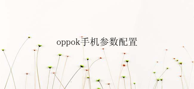 oppok手机参数配置