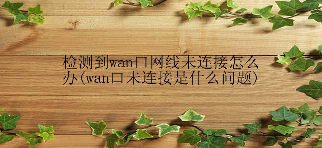 检测到wan口网线未连接怎么办(wan口未连接是什么问题)