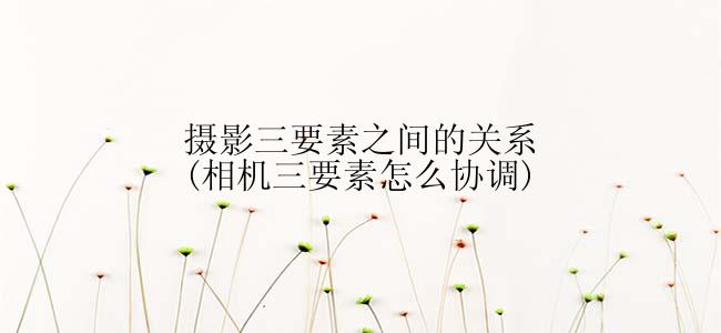 摄影三要素之间的关系(相机三要素怎么协调)