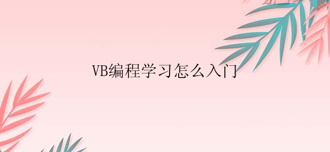 VB编程学习怎么入门