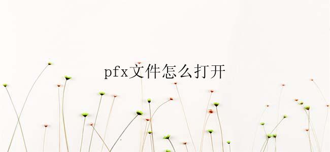 pfx文件怎么打开？