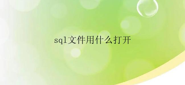 sql文件用什么打开