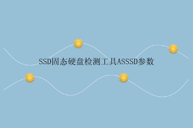 SSD固态硬盘检测工具ASSSD参数