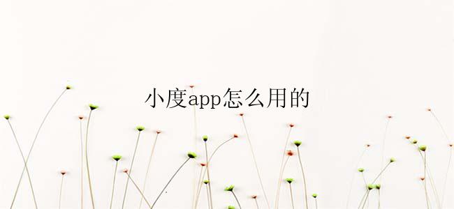 小度app怎么用的