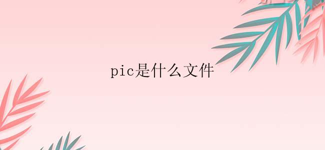 pic是什么文件