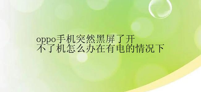 oppo手机突然黑屏了开不了机怎么办在有电的情况下