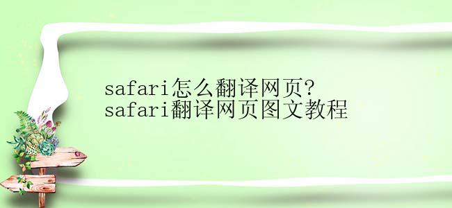 safari怎么翻译网页?safari翻译网页图文教程