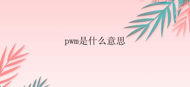 pwm是什么意思？