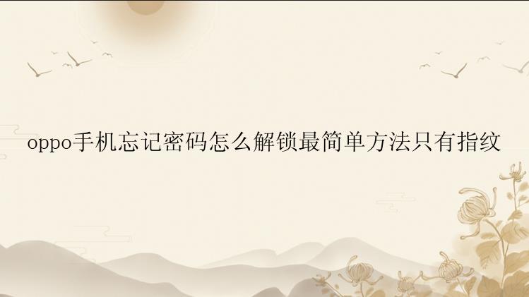 oppo手机忘记密码怎么解锁最简单方法只有指纹