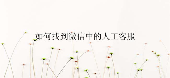 如何找到微信中的人工客服