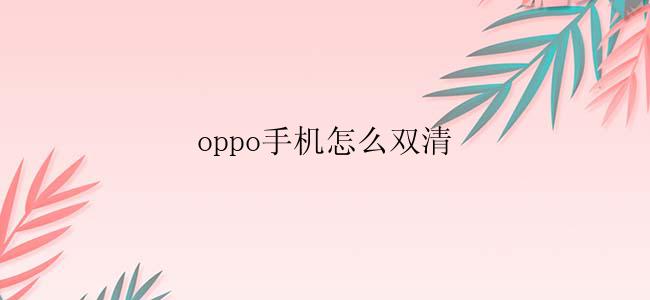 oppo手机怎么双清