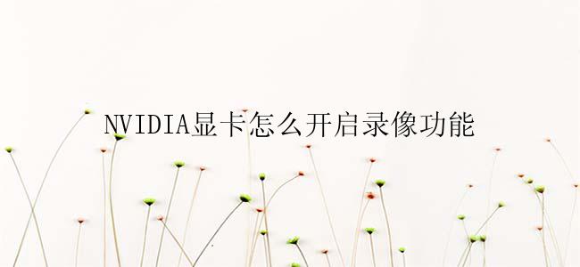 NVIDIA显卡怎么开启录像功能