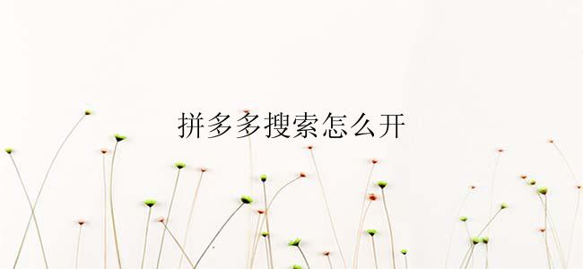 拼多多搜索怎么开