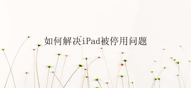 怎么解决iPad被停用的问题？