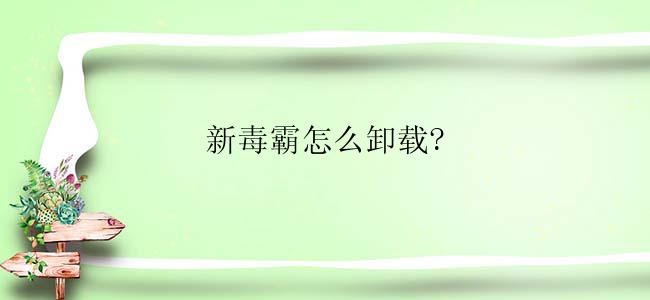 新毒霸怎么卸载?