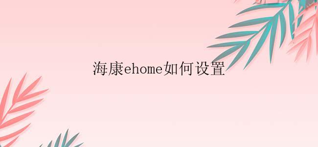 海康ehome如何设置