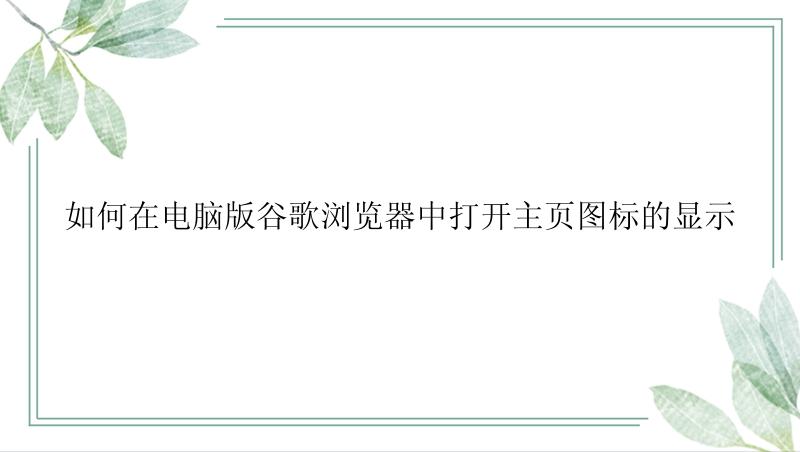 如何在电脑版谷歌浏览器中打开主页图标的显示