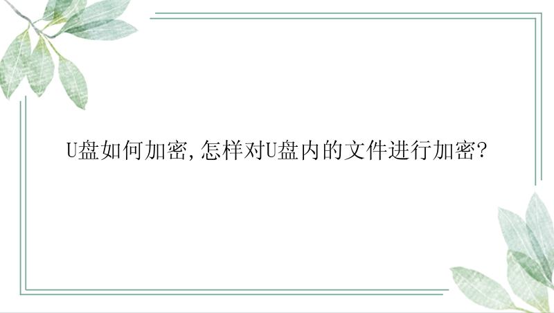 U盘如何加密,怎样对U盘内的文件进行加密?