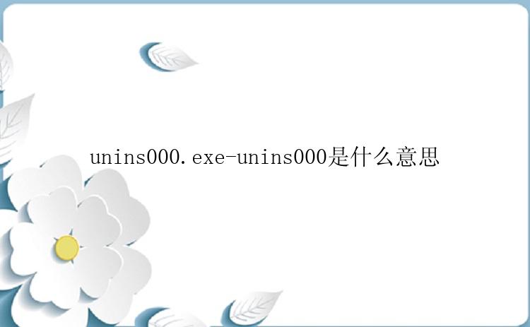 unins000.exe-unins000是什么意思