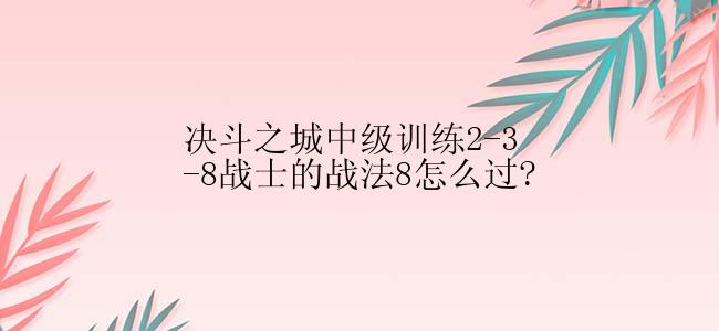 决斗之城中级训练2-3-8战士的战法8怎么过?