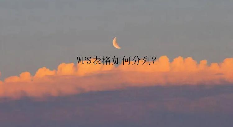 WPS表格怎么分列？