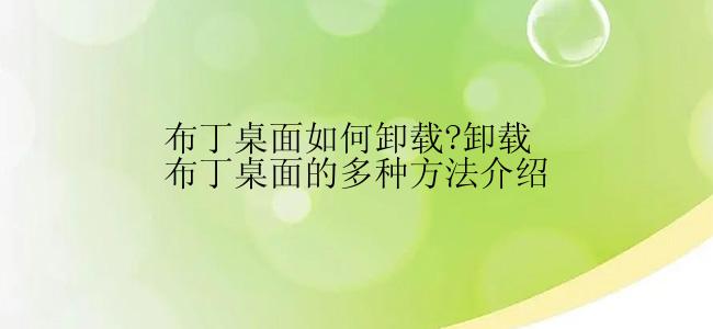 布丁桌面如何卸载?卸载布丁桌面的多种方法介绍