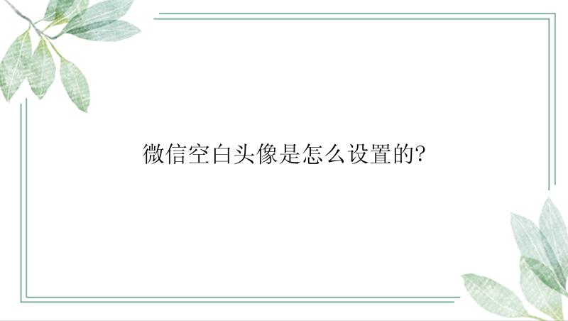 微信空白头像是怎么设置的?