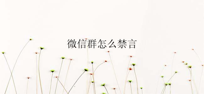 微信群怎么禁言