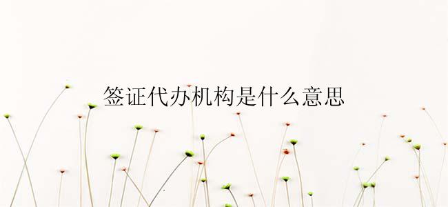签证代办机构是什么意思