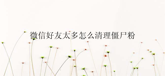 微信好友太多怎么清理僵尸粉