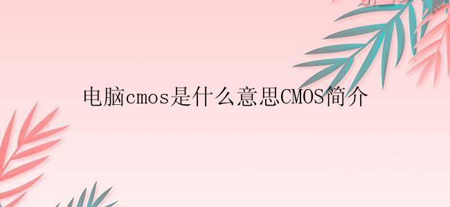 电脑cmos是什么意思CMOS简介