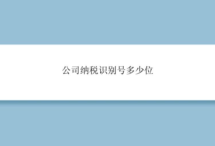 公司纳税识别号多少位