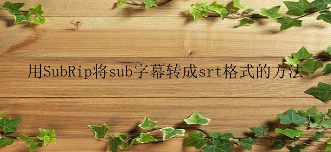 用SubRip将sub字幕转成srt格式的方法