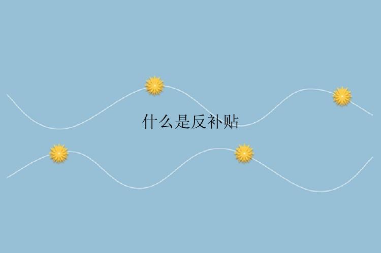 什么是反补贴？