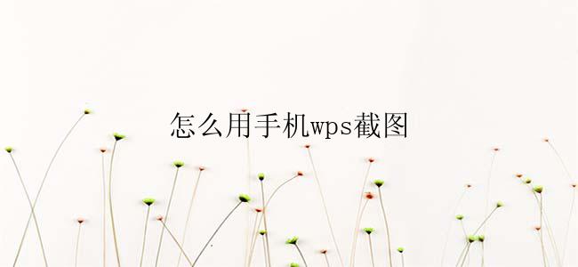 怎么用手机wps截图