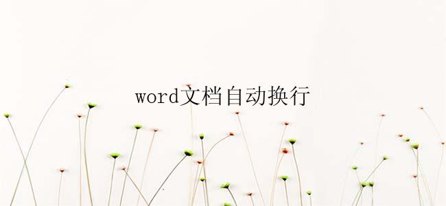 word文档自动换行