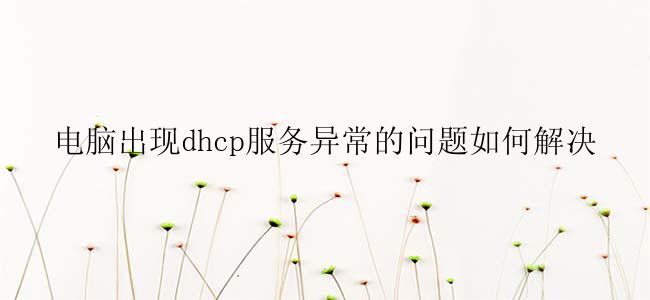 电脑出现dhcp服务异常的问题如何解决