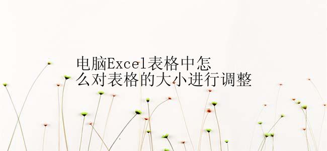 电脑Excel表格中怎么对表格的大小进行调整