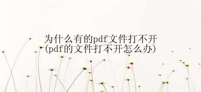 pdf文件打不开怎么办？