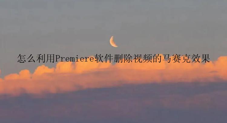 怎么利用Premiere软件删除视频的马赛克效果