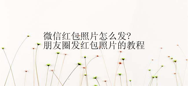 微信红包照片怎么发?朋友圈发红包照片的教程