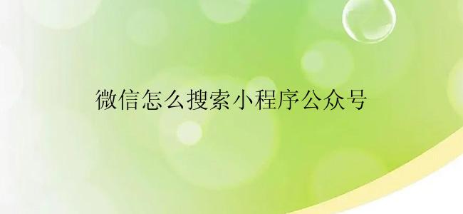 微信怎么搜索小程序公众号