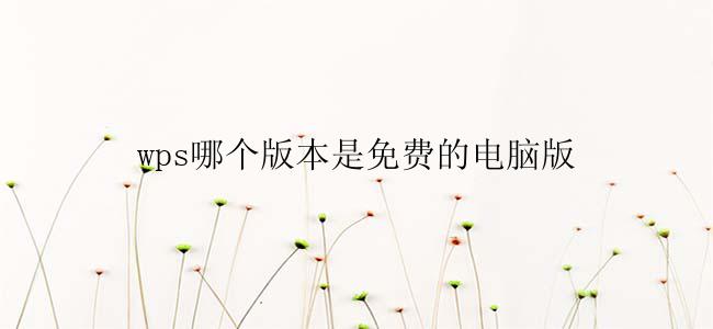 wps哪个版本是免费的电脑版