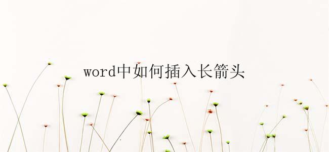 word中如何插入长箭头