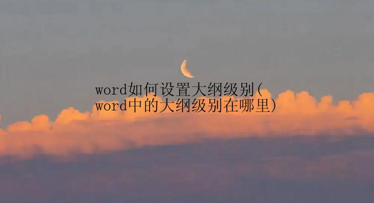 word如何设置大纲级别(word中的大纲级别在哪里)