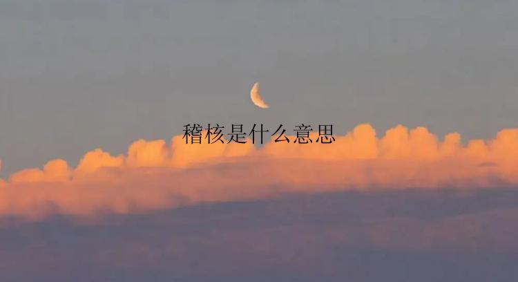 稽核是什么意思
