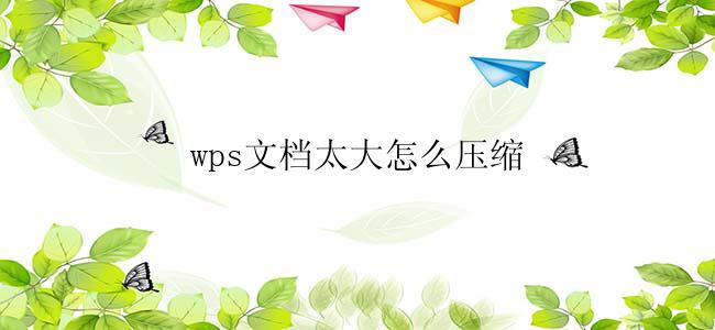 wps文档太大怎么压缩