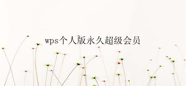 wps个人版永久超级会员