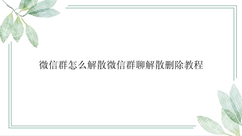 微信群怎么解散微信群聊解散删除教程