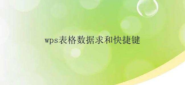 wps表格数据求和快捷键是哪个？